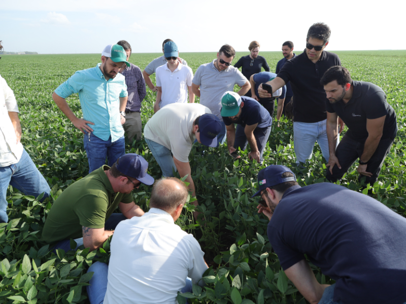 gestão agrícola