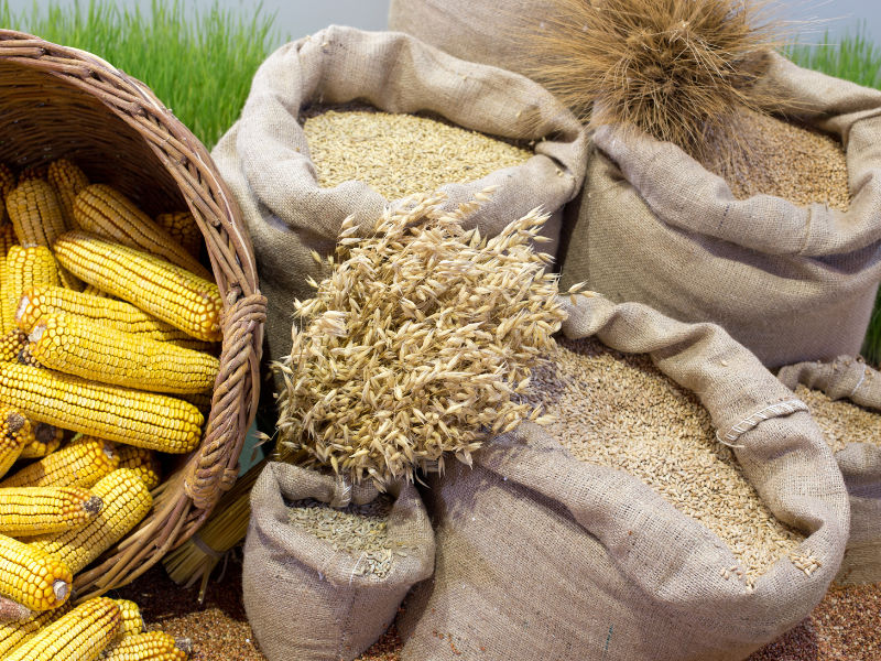 hedge commodities agrícolas e milho