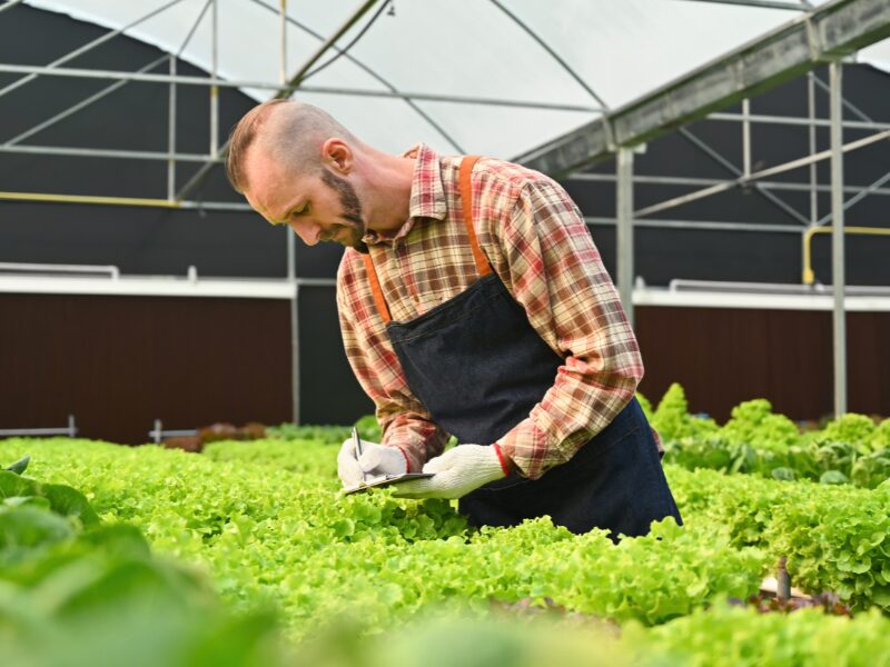 sustentabilidade no agronegócio