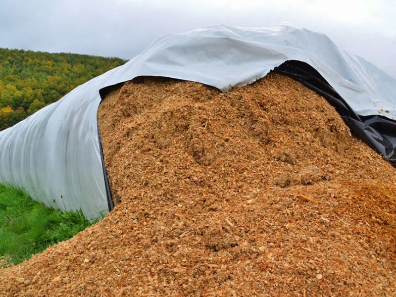 silo bolsa e operação