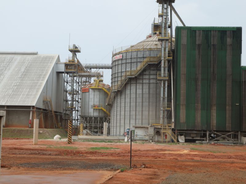 tecnologia em gestão do agronegócio e cadeias