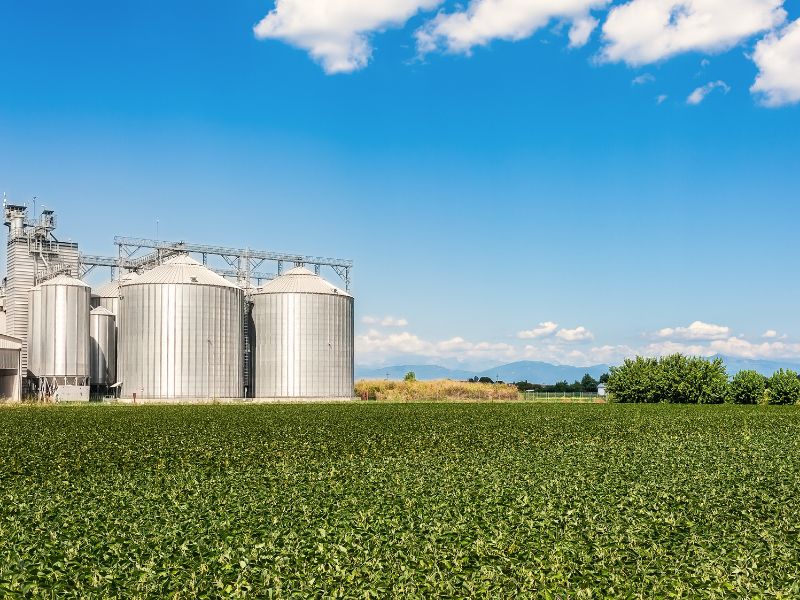 A importância da soja para o agronegócio brasileiro e comercialização