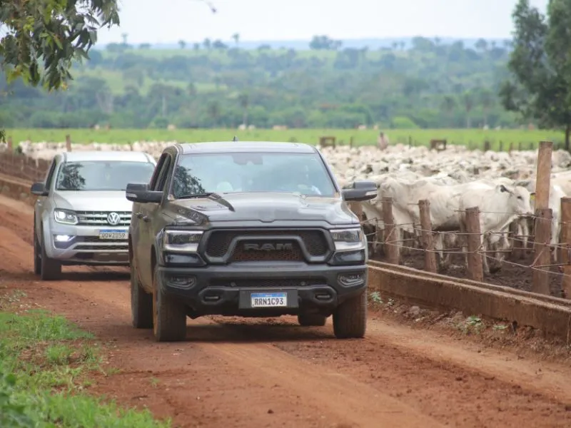 controle agrícola e gestão