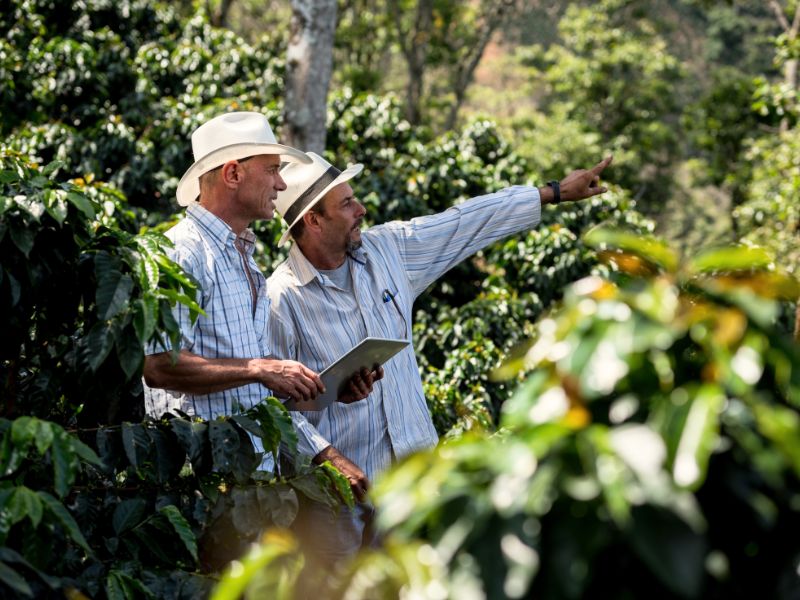 planejamento agrícola no Brasil e gestão