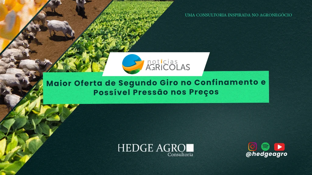 Notícias Agrícola: Maior Oferta de Segundo Giro no Confinamento e Possível Pressão nos Preços