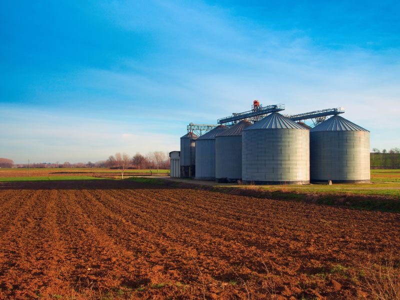 administração e economia rural e insumos