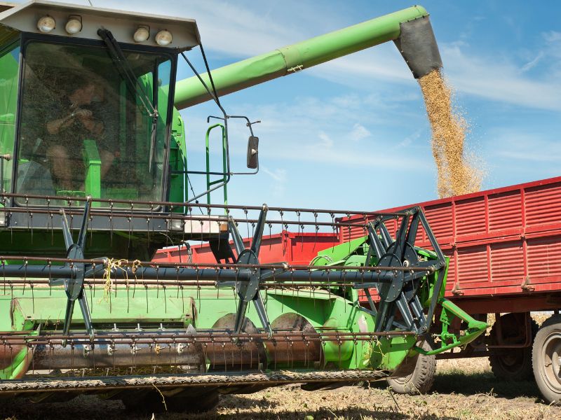 mercado agrícola