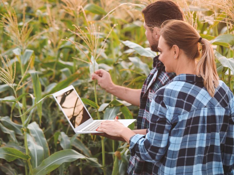 oportunidades na agricultura e mercado