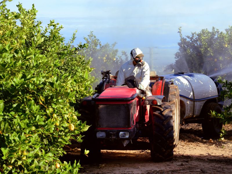 planejamento de safra e pragas