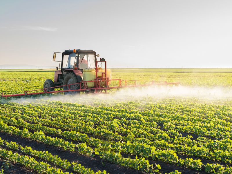 custo da produção de soja por hectare e fertilizantes