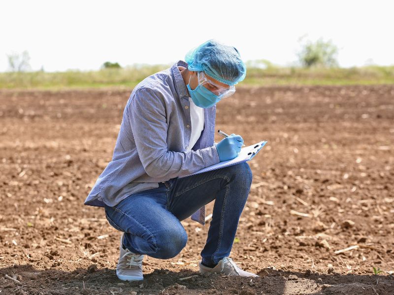 custo da produção de soja por hectare e solo