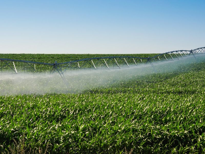 ideias inovadoras para agricultura e avanços