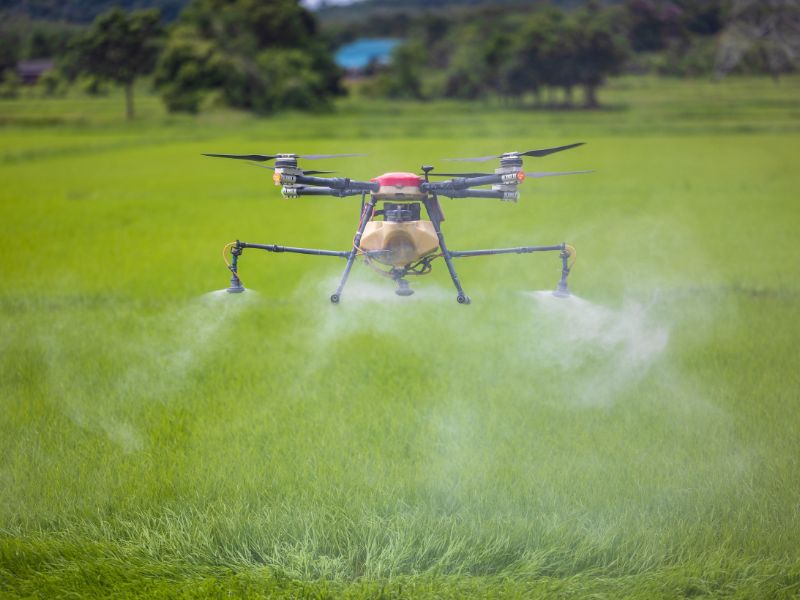 ideias inovadoras para agricultura e fundamento