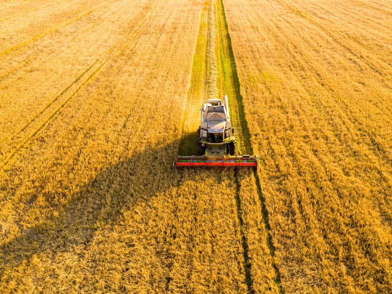 inteligência artificial agro e monitoramento