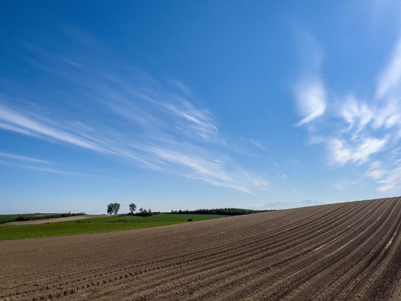 o que é o cadastro ambiental rural e programas