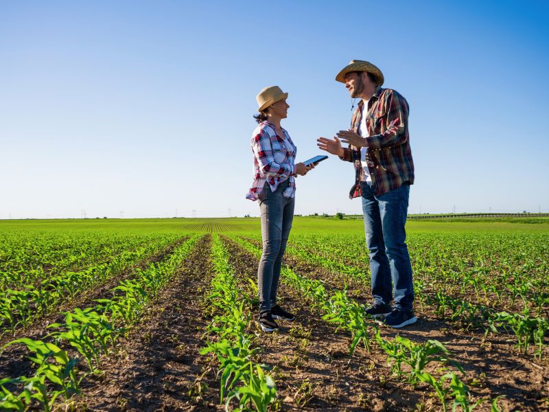 Plano Safra para Agricultura Familiar e fundamentos