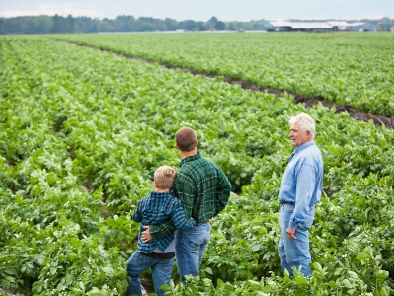 plano safra para agricultura familiar