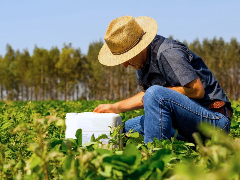 quem paga o funrural o comprador ou o vendedor e diferenças