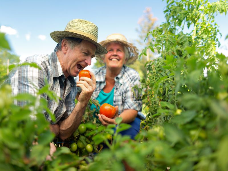 quem paga o funrural o comprador ou o vendedor e impactos