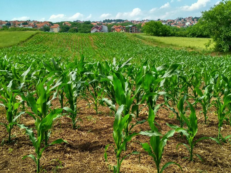 quem paga o funrural o comprador ou o vendedor e utilização