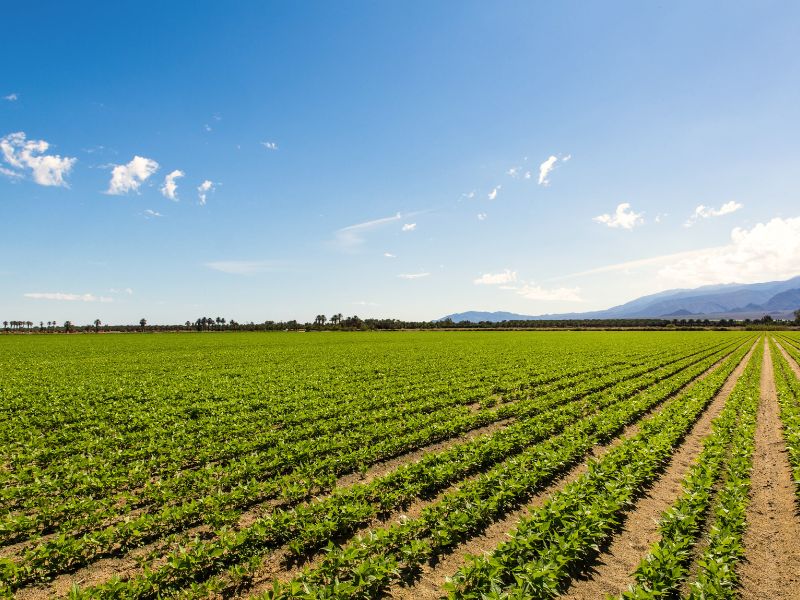 quem paga o funrural o comprador ou o vendedor