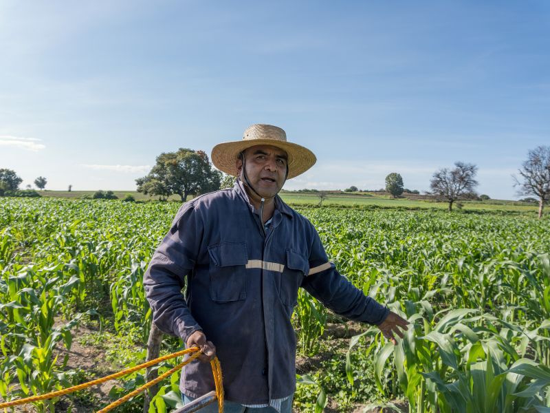 restituição funrural e responsabilidade