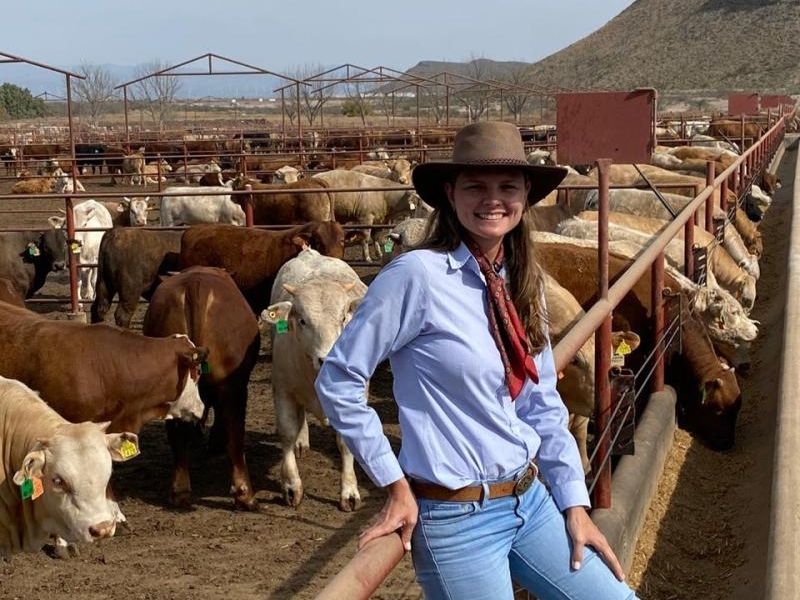 mulheres no agronegócio e sucesso