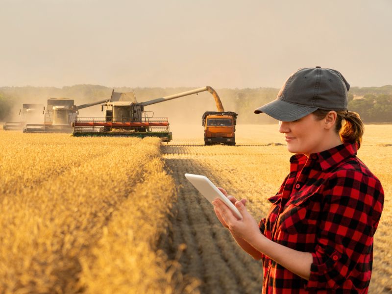 mulheres no agronegócio e desenvolvimento