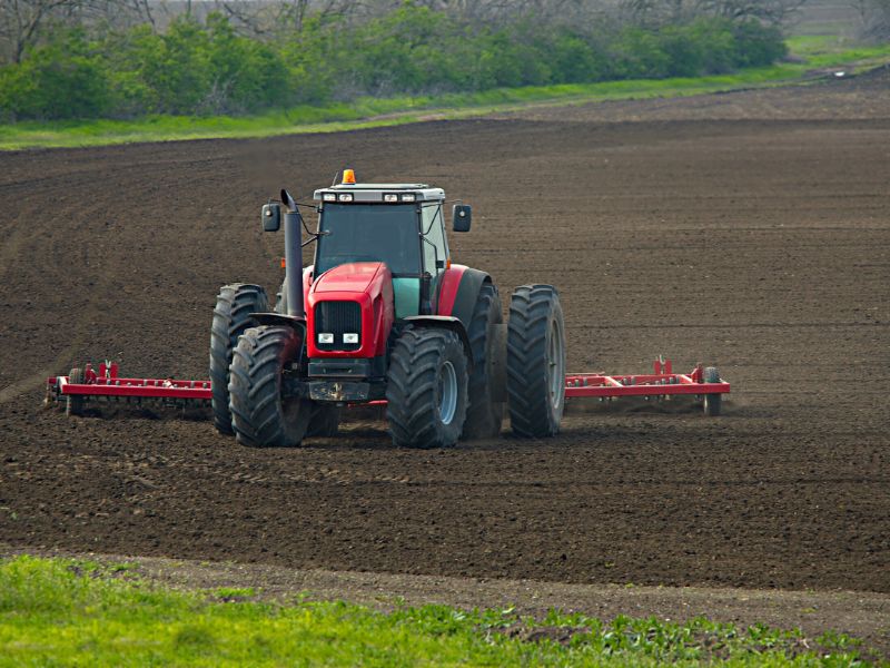 Ministério da Agricultura Pecuária e Abastecimento e políticas