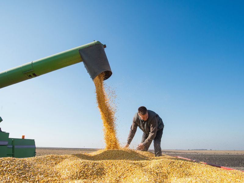 Ministério da Agricultura Pecuária e Abastecimento e segurança