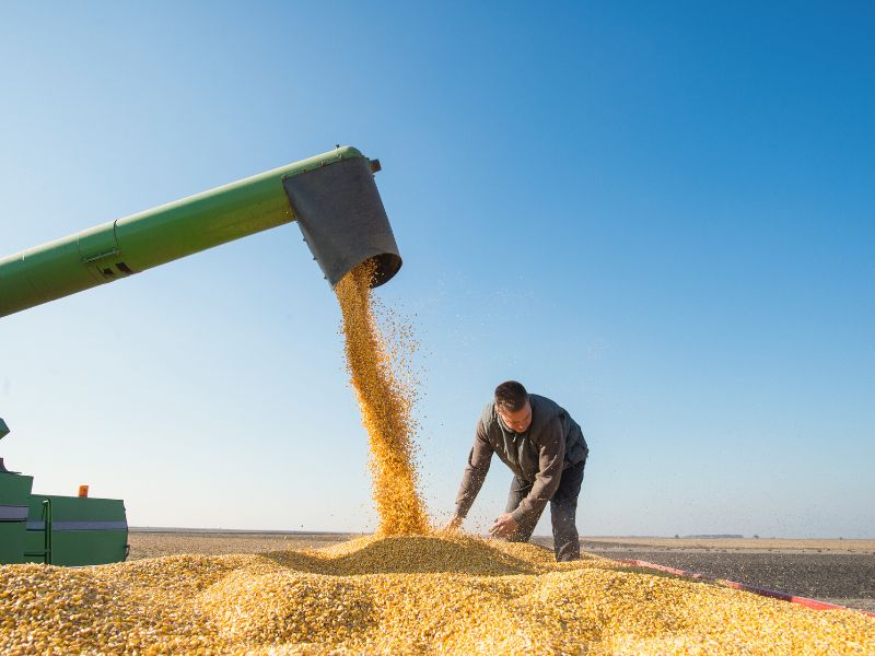 o que é cooperativa agrícola e fundamentos