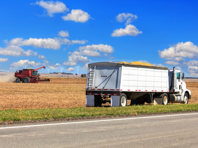 o que é cooperativa agrícola e comercialização