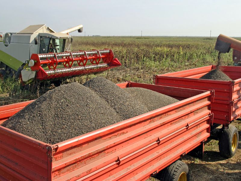 mercados e comercialização de produtos agrícolas​ e custos