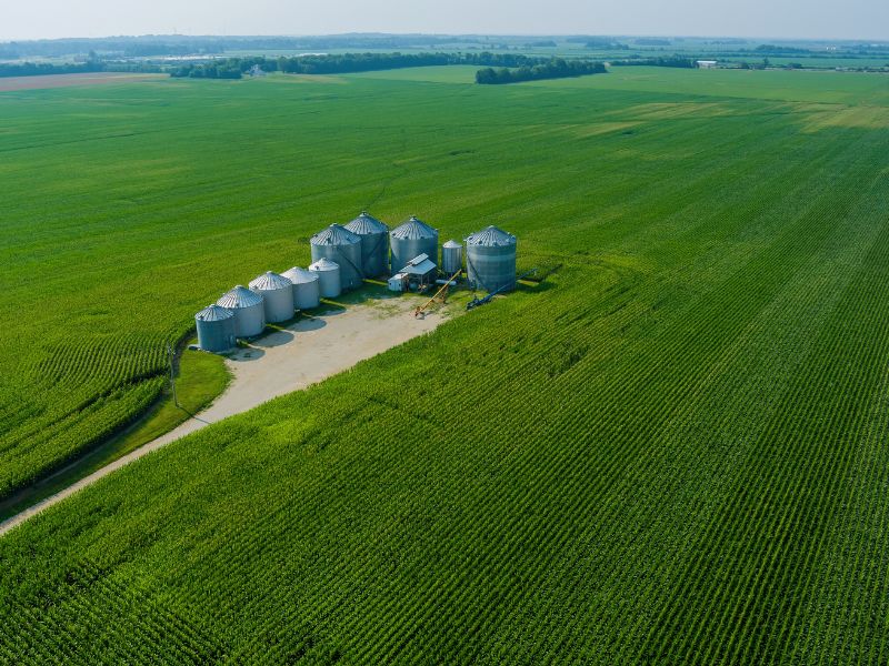 participação do agronegócio no PIB brasileiro e economia