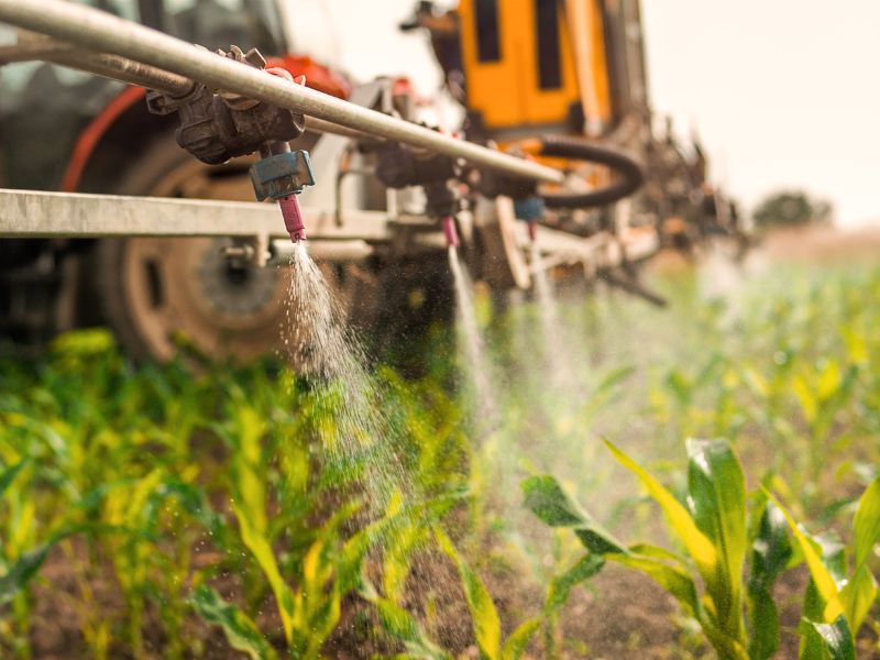 produção e produtividade agrícola diferença​ e recursos