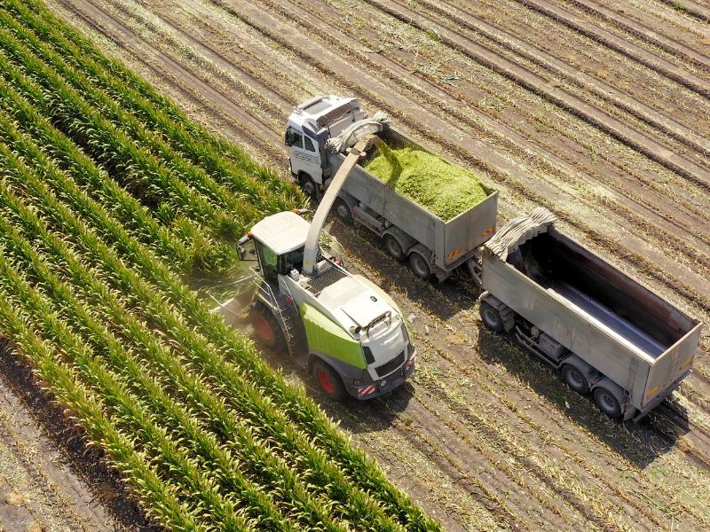 produção e produtividade agrícola diferença​ e práticas