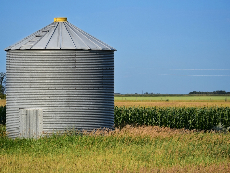 como fazer silagem de grão úmido e silo