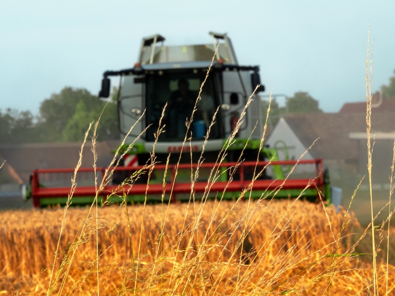 o que é Ministério da Agricultura e impacto