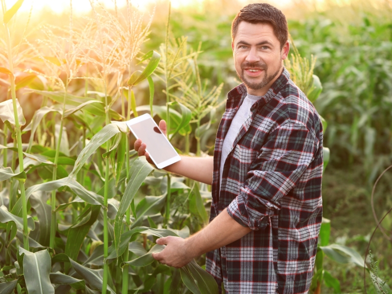 sistema gestão agro e gestão