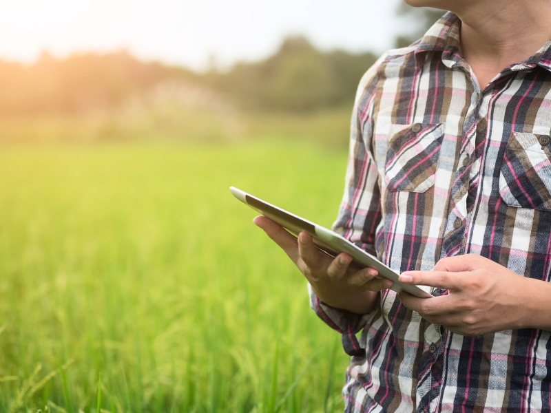 sistema gestão agro e conclusão