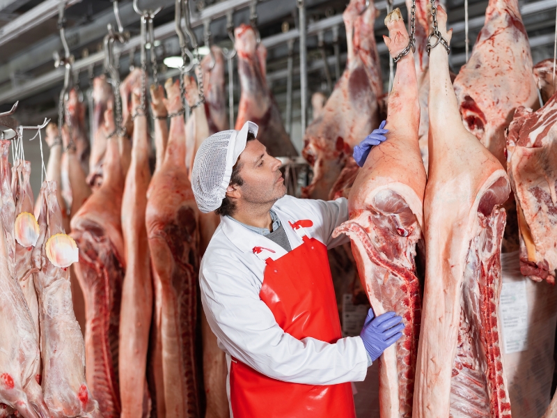 o que é rendimento de carcaça e melhoramento e manejo