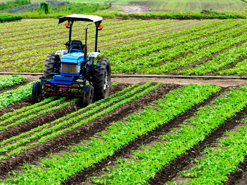 planejamento estratégico agrícola e desenvolvimento