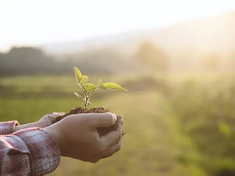 Sustentabilidade no agronegócio e preservação