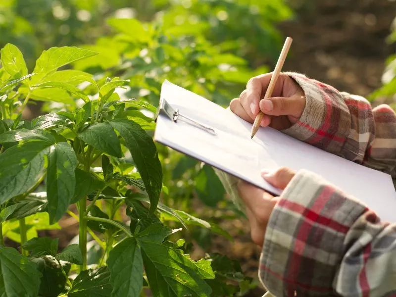 oportunidades na agricultura