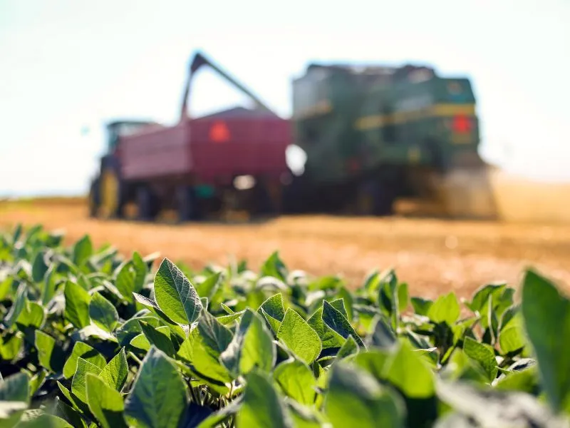 principais produtos agrícolas da região sul​ e modernização